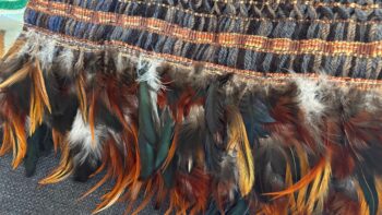 Speaker Bev's Korowhai